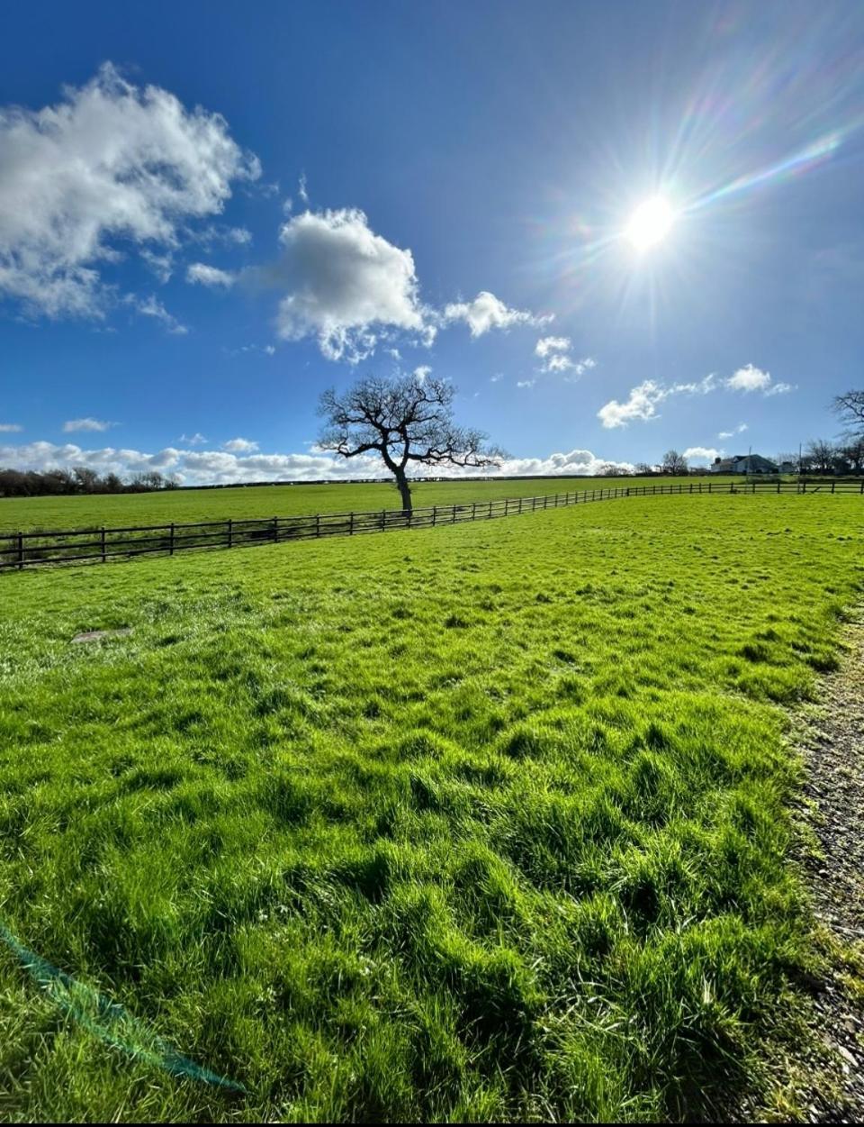 East Hook Farmhouse Haverfordwest Dış mekan fotoğraf